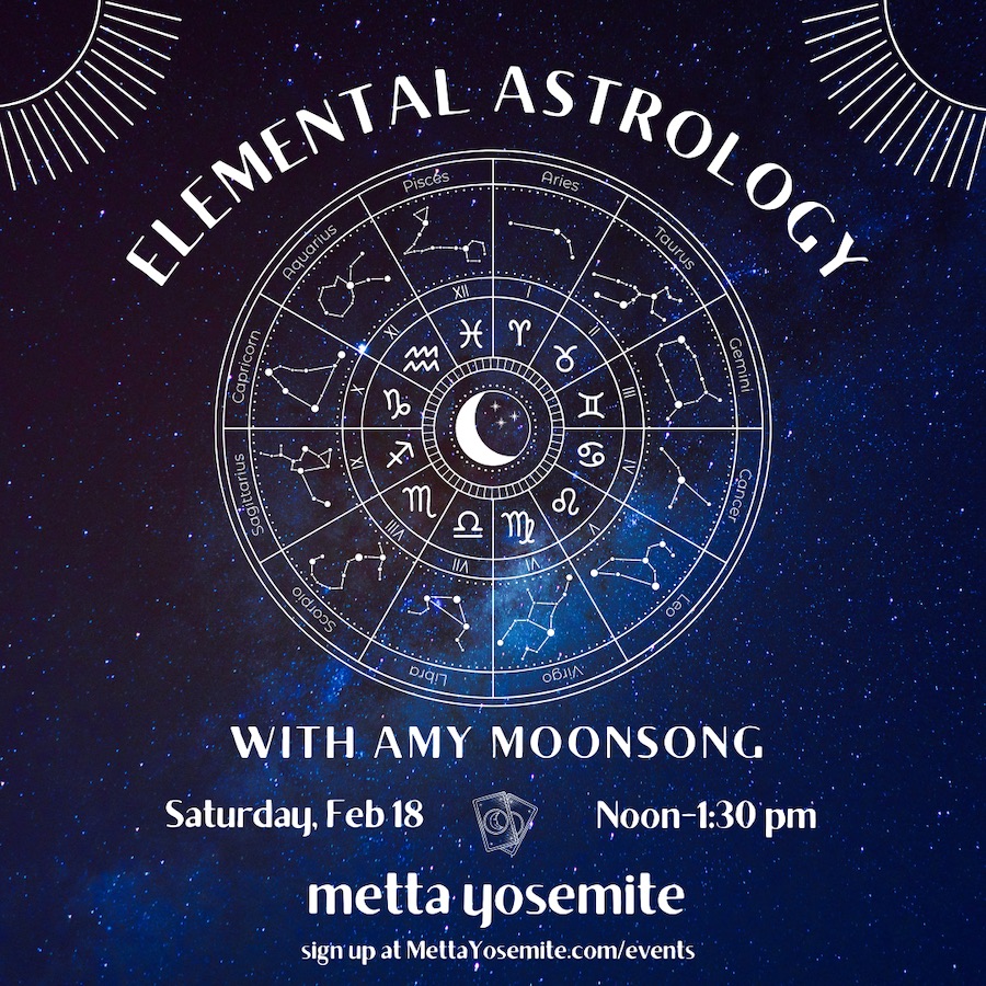 Elemental Astrology with Amy Moonsong - Feb 18th Noon-1:30pm
